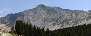 pic4