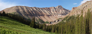 pic2