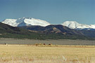 pic9