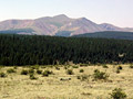 pic9