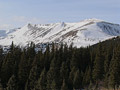 pic10