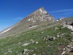 pic1