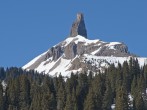 pic1