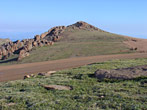 pic2