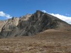 pic11