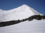 pic15