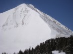 pic14