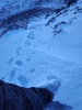#4) No issues with snow... until here #4) No issues with snow... until here