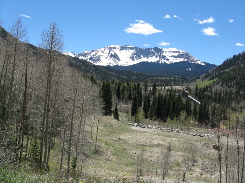 Photo #1 18551_01
