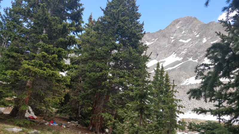 Photo #10 19469_10