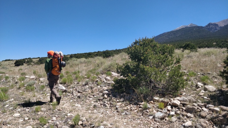 Photo #13 19469_15