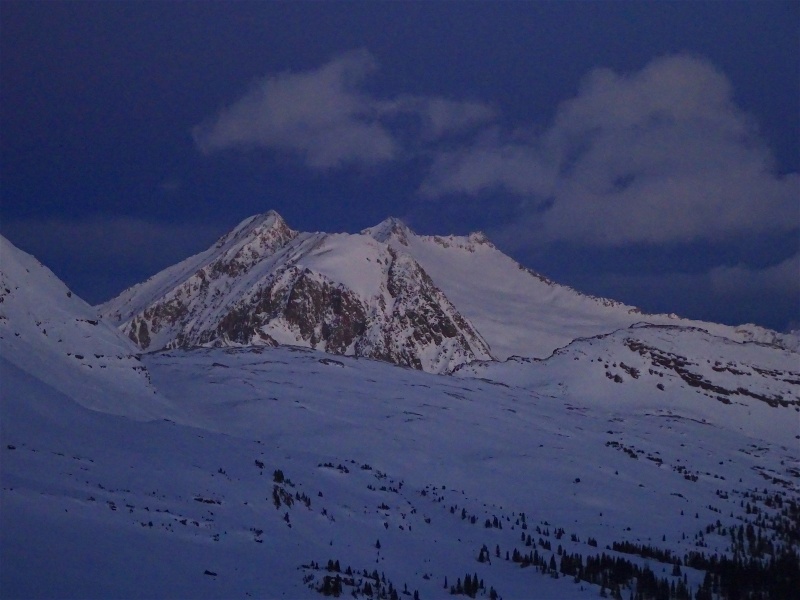 20029_01