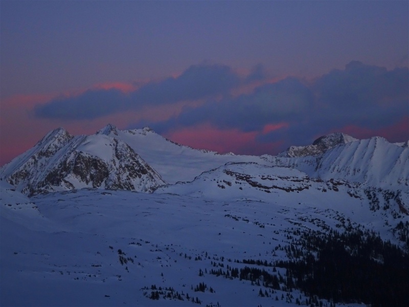 20029_02