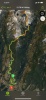 41