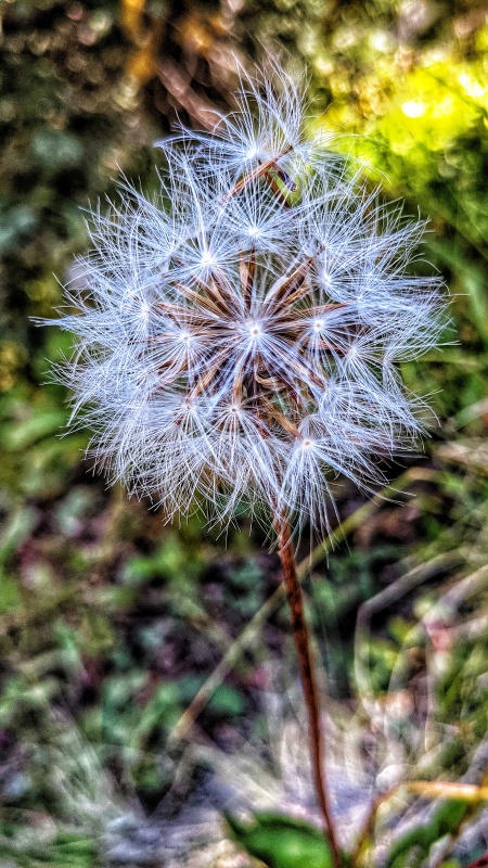 21360_06