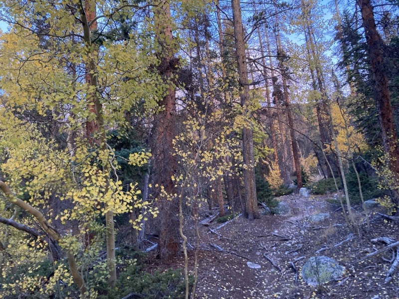 Photo #7 21559_07