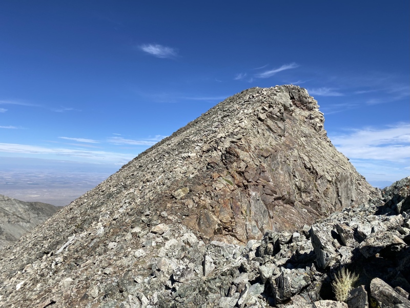 Photo #8 22469_08