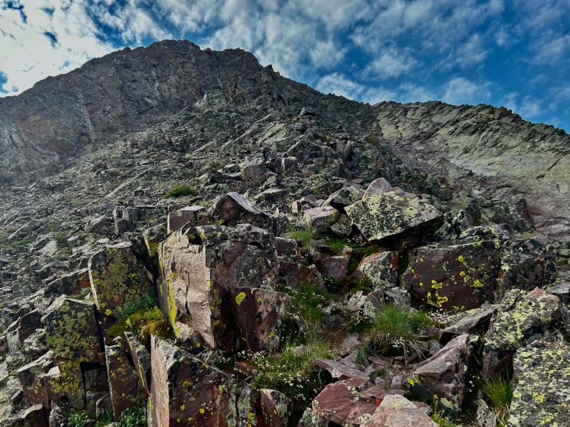 Photo #1 22687_01