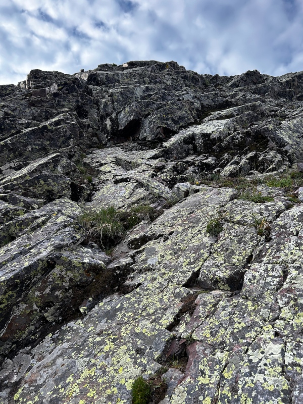 Photo #6 22687_06