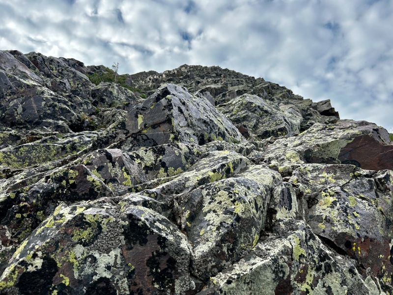 Photo #13 22687_13