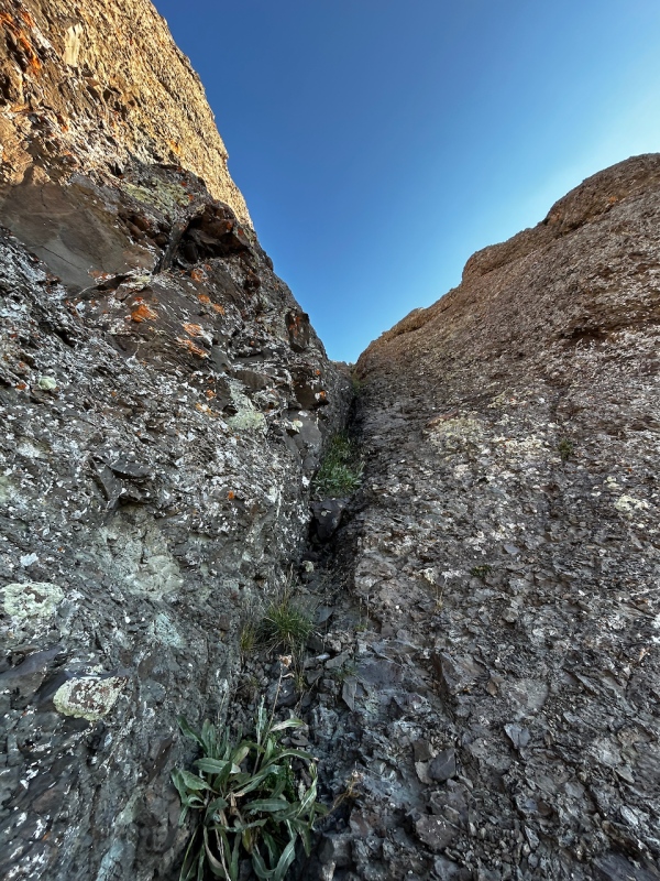 Caption Here 22904_23