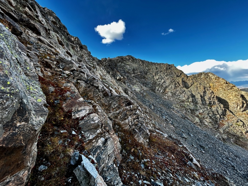 Caption Here 22906_10