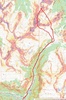 44